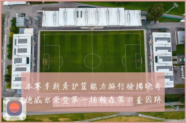 本赛季新秀护筐能力排行榜揭晓考德威尔荣登第一杨瀚森第六奎因跻身前十
