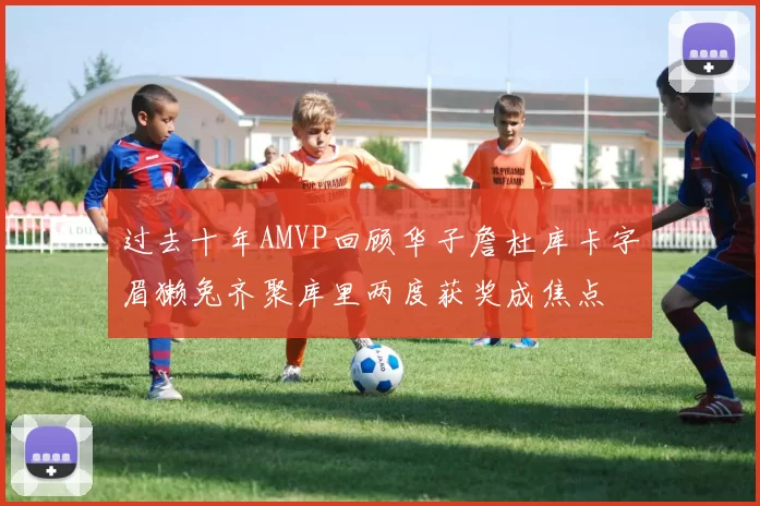 过去十年AMVP回顾华子詹杜库卡字眉獭兔齐聚库里两度获奖成焦点