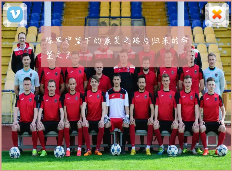 绿军守望下的康复之路与归来的希望之光