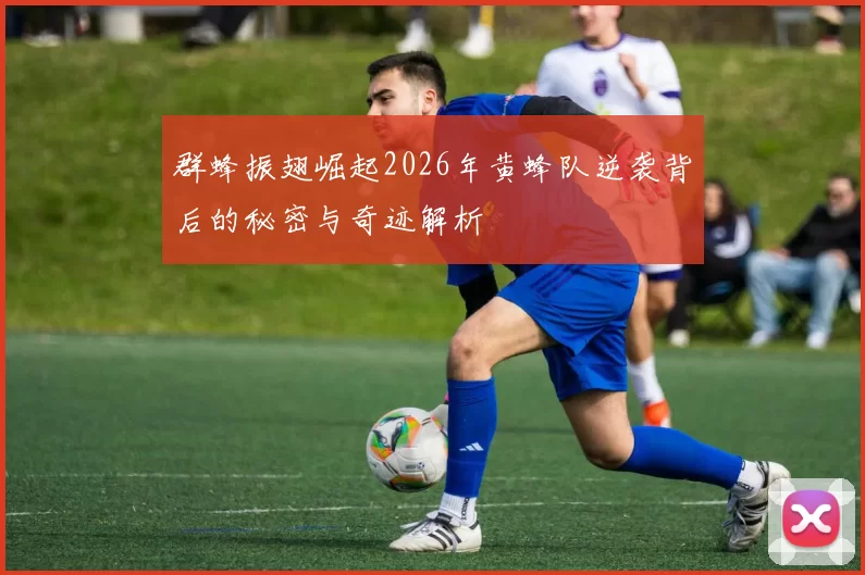 群蜂振翅崛起2026年黄蜂队逆袭背后的秘密与奇迹解析